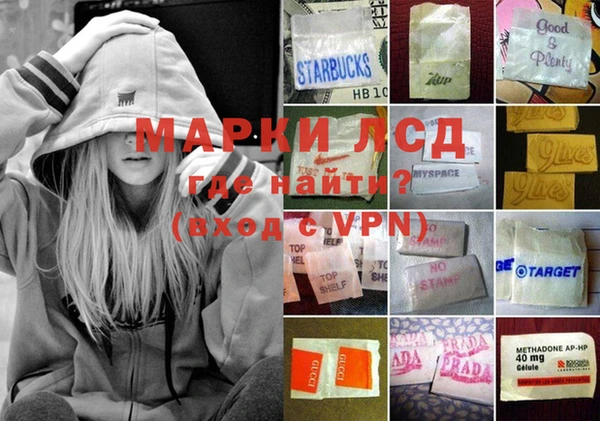 сатива Бугульма