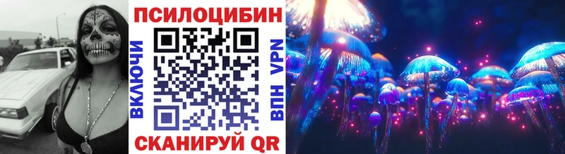 купить наркоту  Палласовка  Галлюциногенные грибы Cubensis 